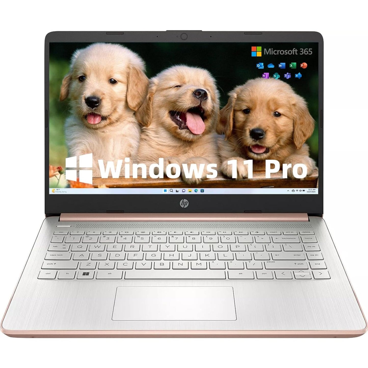 HP Stream 14-inch Business Laptop, Intel Celeron N4120, 4GB RAM, 384GB Storage (128GB eMMC and 256GB SD Card), Windows 11 Home in S Mode, Rosegolden