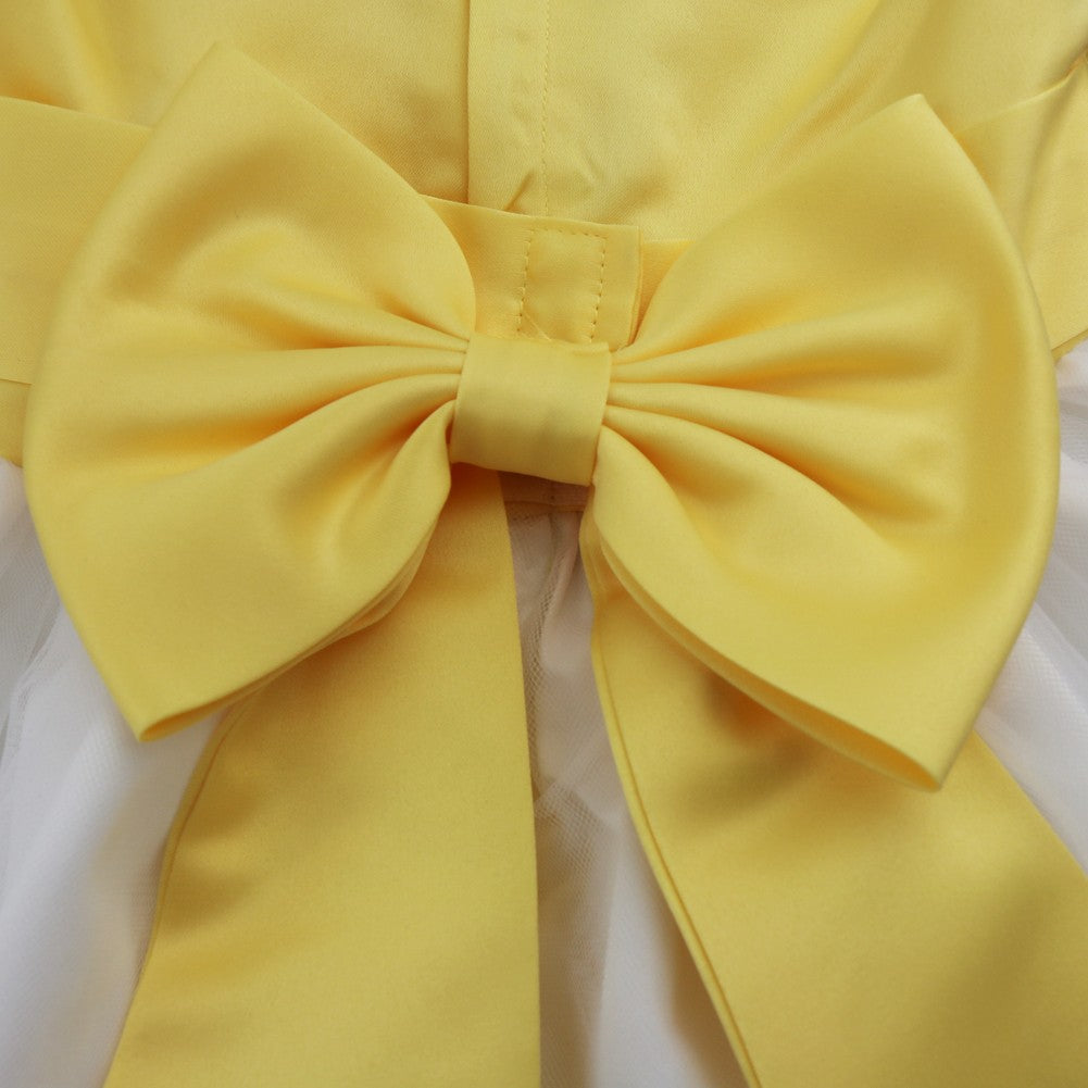 Baby Kids Girls Bowknot Flower Girl Dress Princess Birthday Party Tutu Dress Petals Wedding Pageant Bridesmaid Dresses Ball Gown
