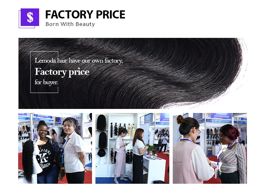 Lemoda 13x6 HD Lace Frontal Wigs Human Hair Body Wave 250% Density Brazilian Virgin Hair Full Frontal Lace Wig Pre plucked 12A