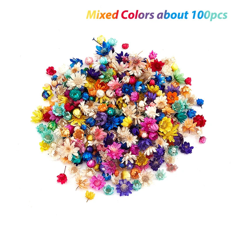 Mini Natural Dry Flowers Bouquet Bridesmaid Boutonnieres Christmas Wedding Decor Valentine's Day DIY Floral Materials