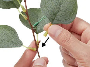 20pcs Artificial Mixed Eucalyptus Leaves Stems Silver Dollar Leaves for DIY Bouquets Floral Arrangement Home Decor Wedding