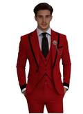 MEN NEW MODEL SUITS