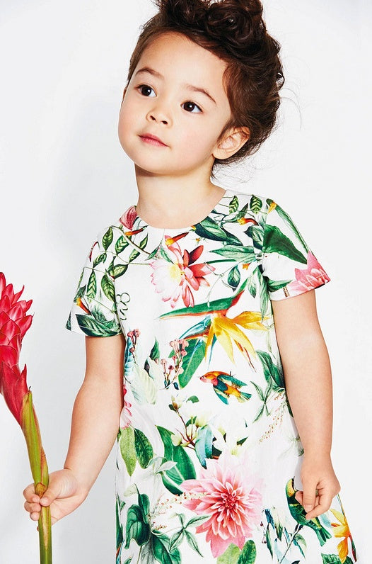 girl Dresses