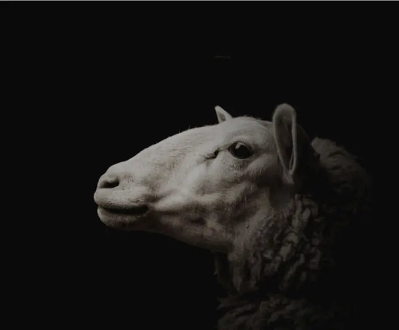 Winter Jacket Men Wool Pea Coat Oversized Overcoat Solid Business Casual Coat Men's Clothing Woollen Coats 4XL AF2011