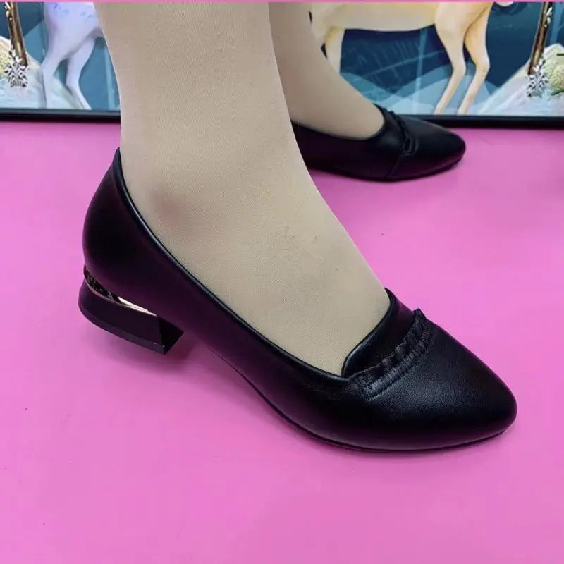 Shoes for Women 2024 Office Lady Heels Four Seasons Slip on Loafers Fashion Pointed Toe Low Heel Pumps Women's New Single Shoes