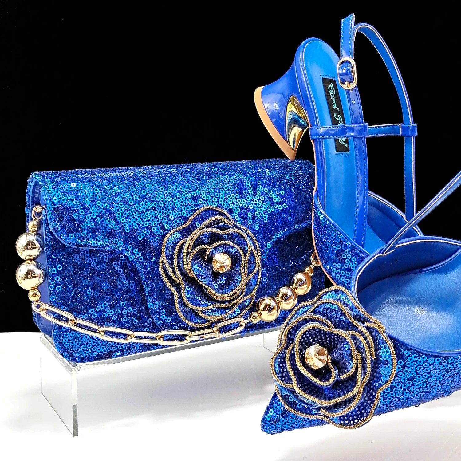 Elegant Handbags and Medium Heel shoes