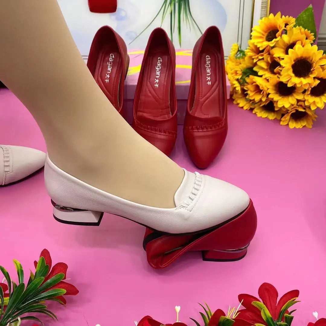 Shoes for Women 2024 Office Lady Heels Four Seasons Slip on Loafers Fashion Pointed Toe Low Heel Pumps Women's New Single Shoes
