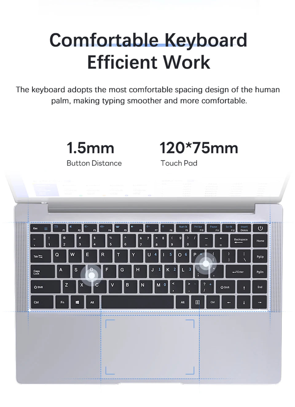 Laptop Computer Windows 11 Pro Intel Atom A3950 2025 Notebook PC 12GB RAM 512GB 1TB 2TB SSD 1920*1080P Office Study Computer