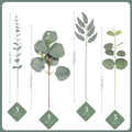 20pcs Artificial Mixed Eucalyptus Leaves Stems Silver Dollar Leaves for DIY Bouquets Floral Arrangement Home Decor Wedding