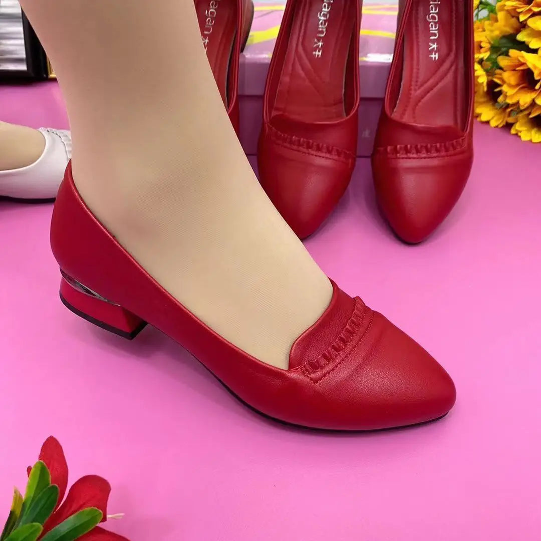 Shoes for Women 2024 Office Lady Heels Four Seasons Slip on Loafers Fashion Pointed Toe Low Heel Pumps Women's New Single Shoes
