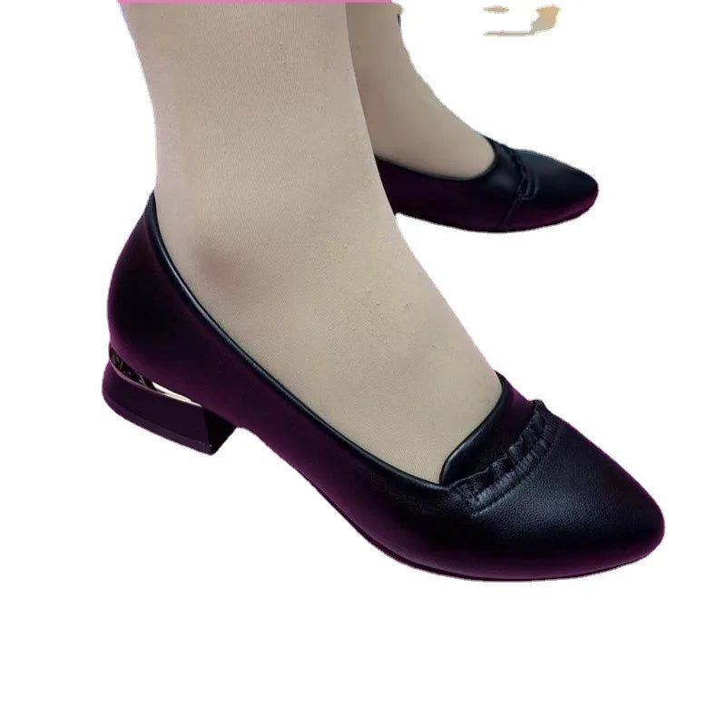 Shoes for Women 2024 Office Lady Heels Four Seasons Slip on Loafers Fashion Pointed Toe Low Heel Pumps Women's New Single Shoes