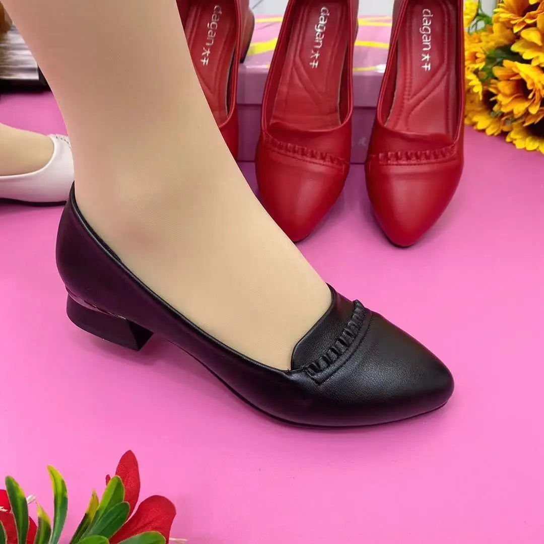 Shoes for Women 2024 Office Lady Heels Four Seasons Slip on Loafers Fashion Pointed Toe Low Heel Pumps Women's New Single Shoes