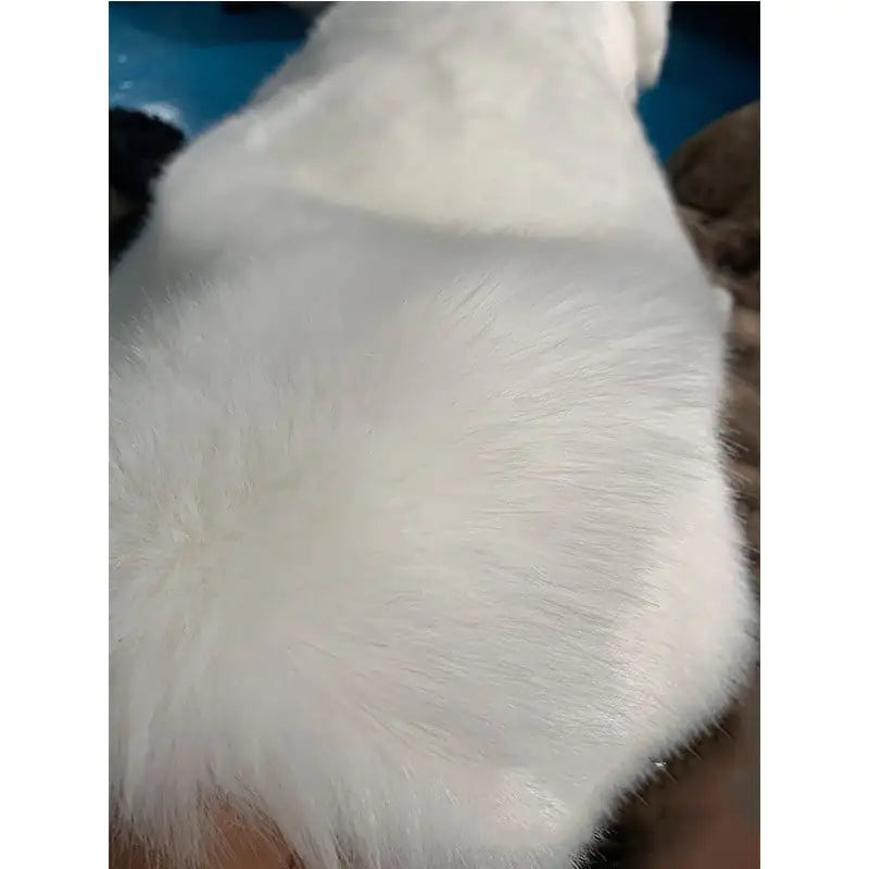 Faux Fur Casual Jacket for Autumn and Winter